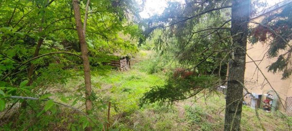 casa indipendente in vendita a Londa in zona Rata
