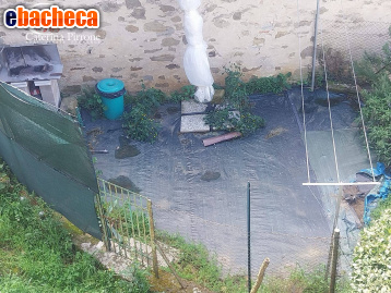 appartamento in vendita a Londa