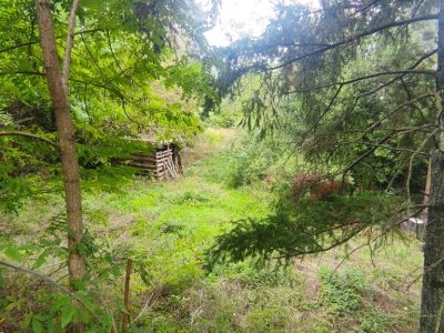 casa indipendente in vendita a Londa in zona Rata