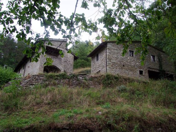 pentavano in vendita a Londa