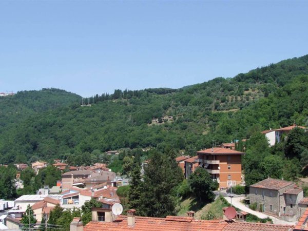 appartamento in vendita a Londa
