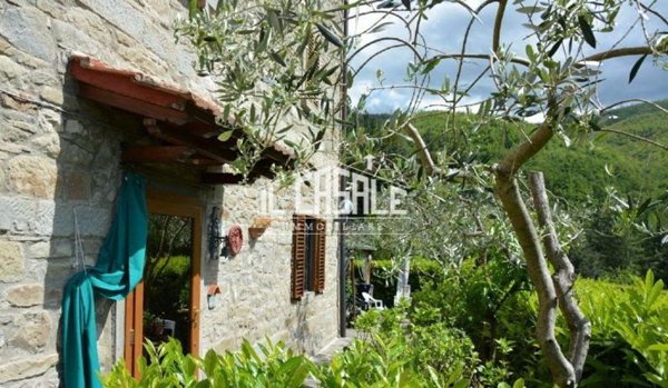 casa indipendente in vendita a Londa