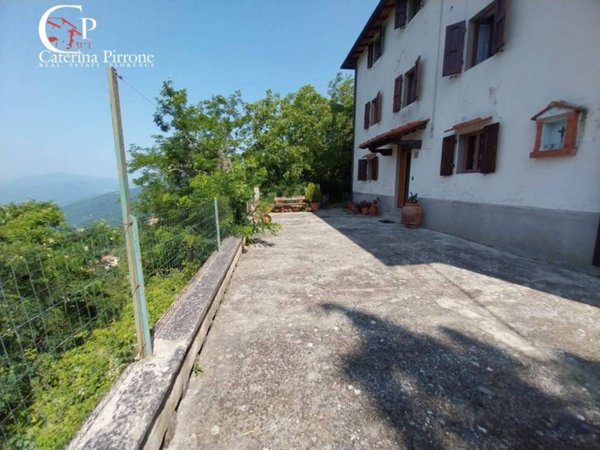 casa indipendente in vendita a Londa in zona Rincine