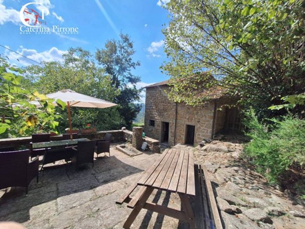 casa indipendente in vendita a Londa in zona Rincine