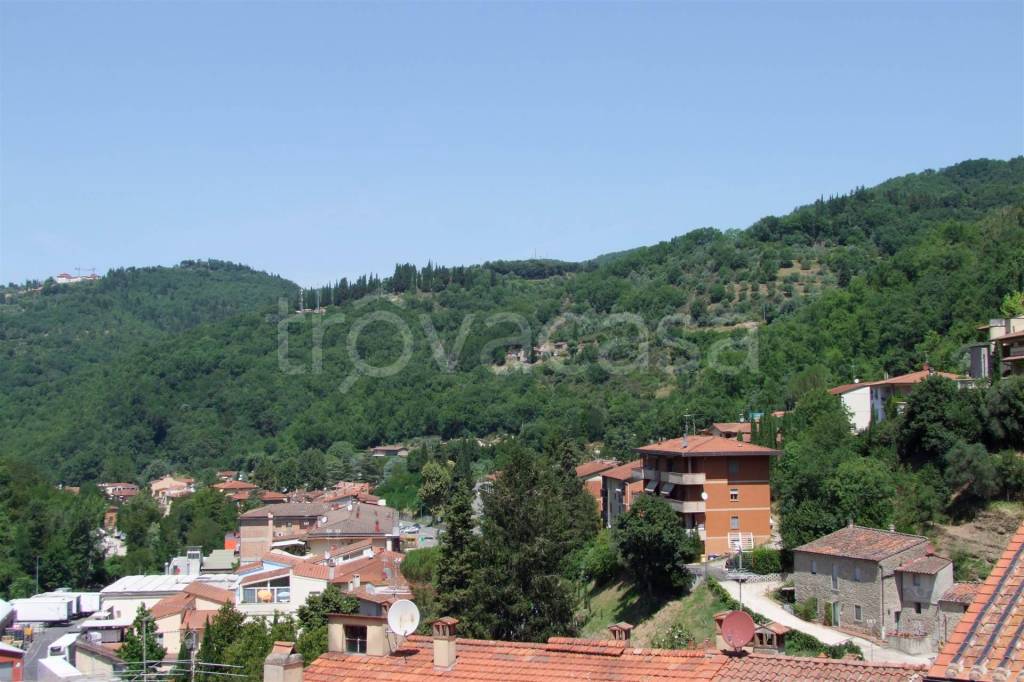 appartamento in vendita a Londa