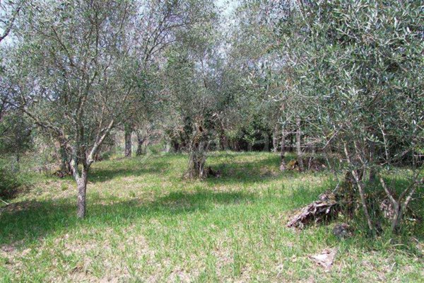 casa indipendente in vendita a Londa
