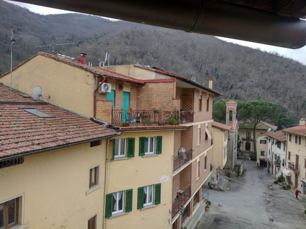 appartamento in vendita a Londa