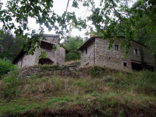 pentavano in vendita a Londa