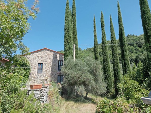 casa indipendente in vendita a Londa