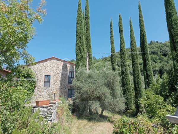casa indipendente in vendita a Londa
