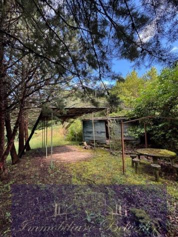 negozio in vendita a Londa