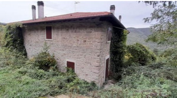 appartamento in vendita a Londa