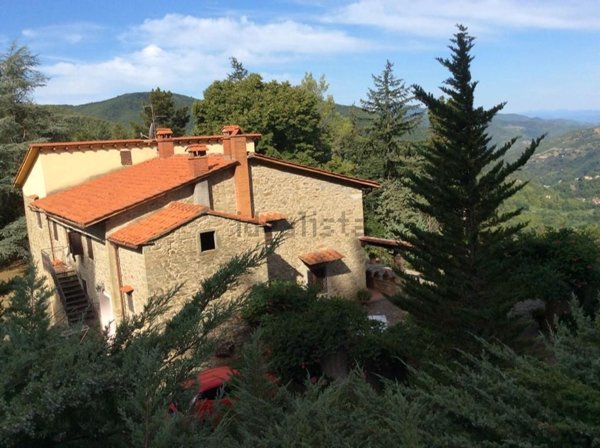 casa indipendente in vendita a Londa in zona Caiano