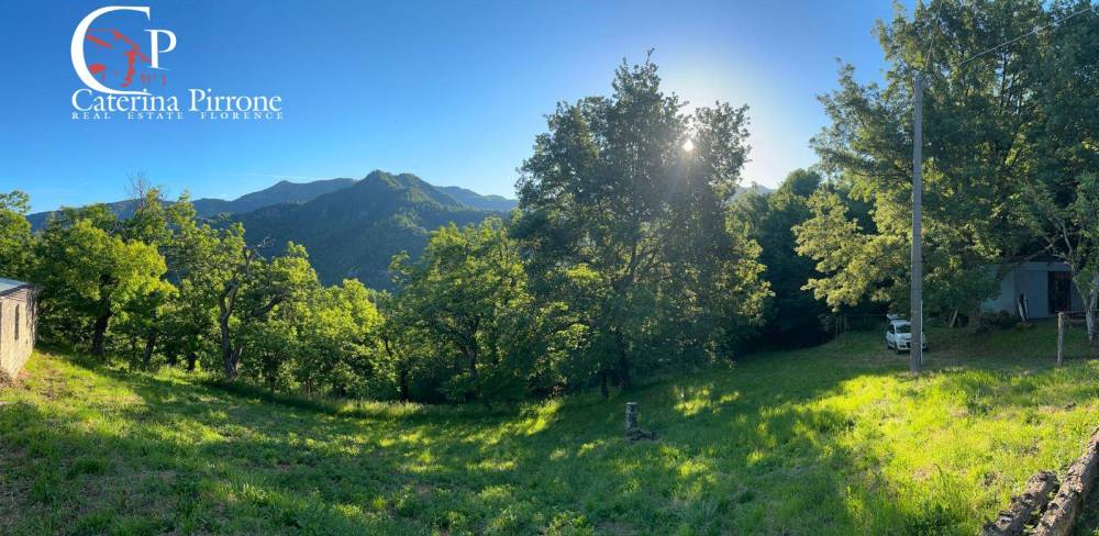 casa indipendente in vendita a Londa