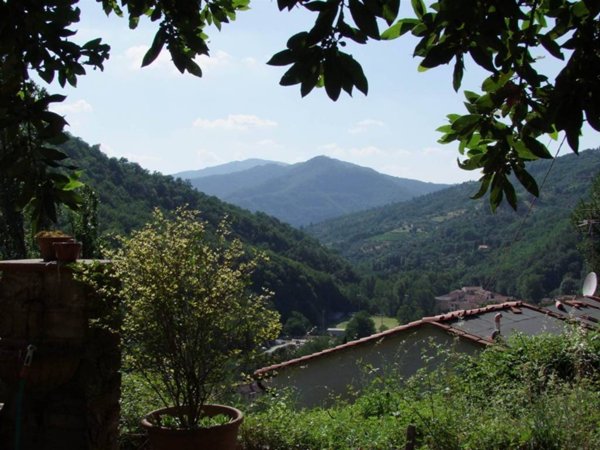 appartamento in vendita a Londa