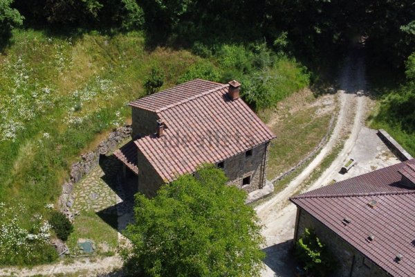 pentavano in vendita a Londa