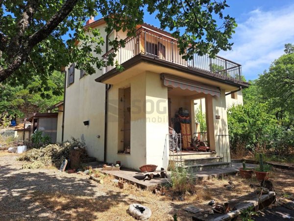 casa indipendente in vendita a Londa in zona Rata