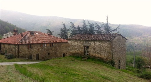 casa indipendente in vendita a Londa in zona Rata