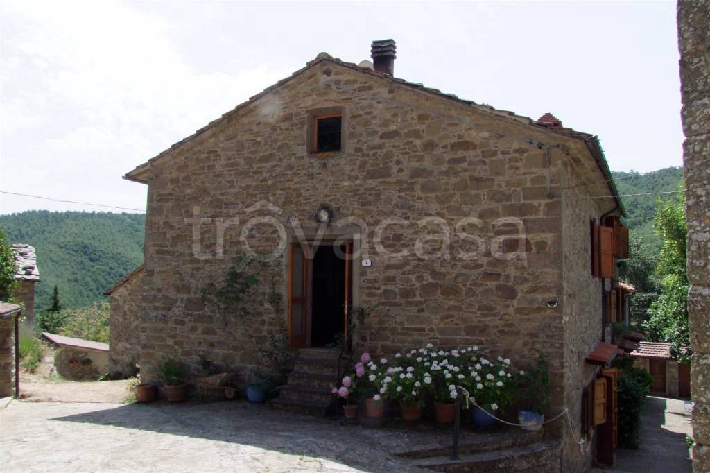 casa indipendente in vendita a Londa in zona Rata