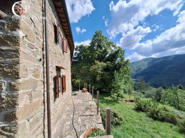 casale in vendita a Londa in zona Rincine