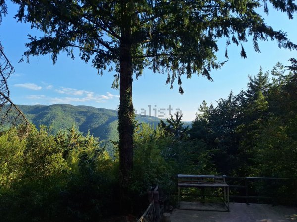 casa indipendente in vendita a Londa in zona Rata
