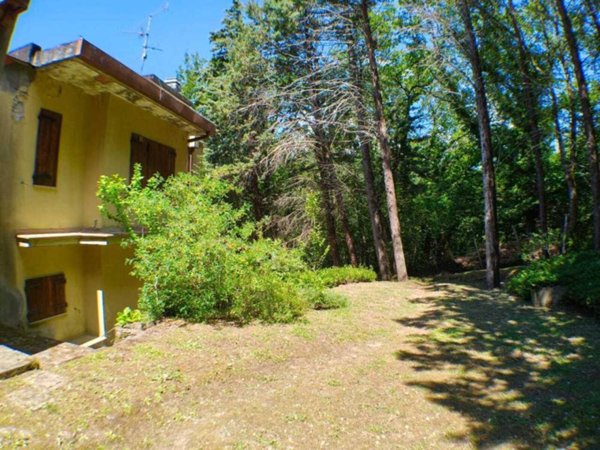 casa indipendente in vendita a Londa in zona Rata