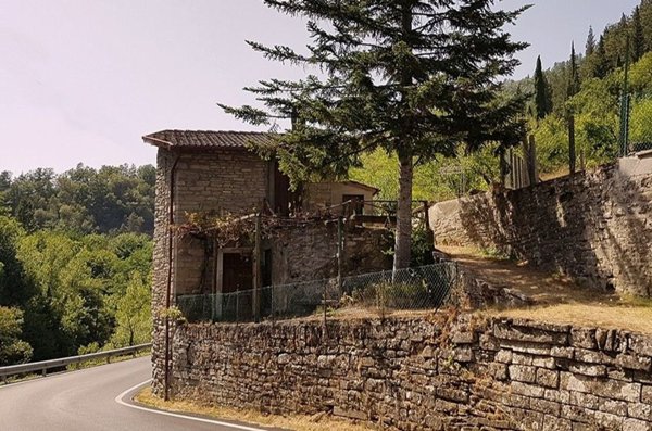 pentavano in vendita a Marradi