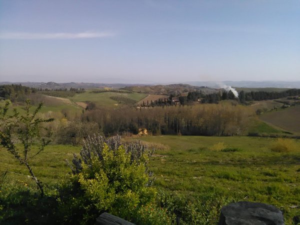 casa indipendente in vendita a Montaione