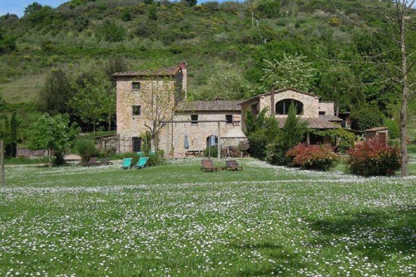 appartamento in vendita a Montaione