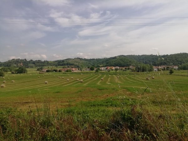 terreno agricolo in vendita a Montaione