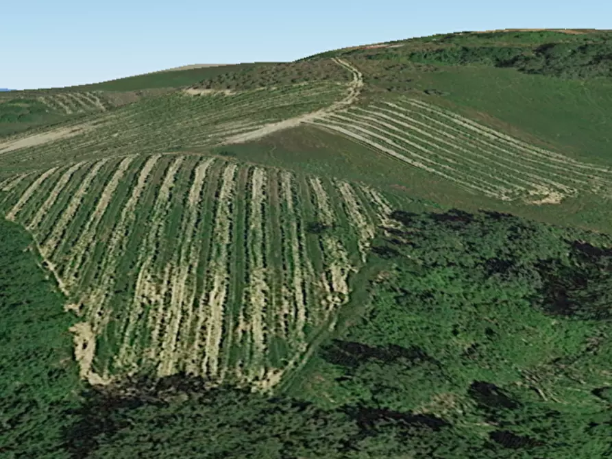 azienda agricola in vendita a Montaione