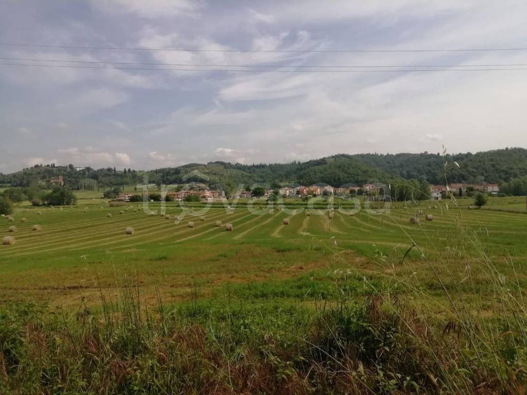 terreno agricolo in vendita a Montaione
