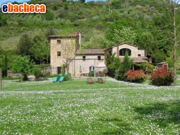 appartamento in vendita a Montaione