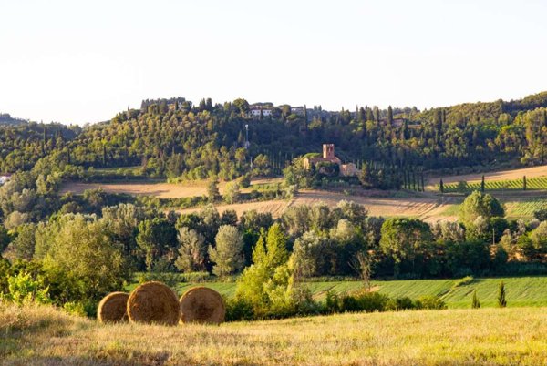 terreno agricolo in vendita a Montaione in zona Barbialla