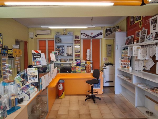 appartamento in vendita a Montaione