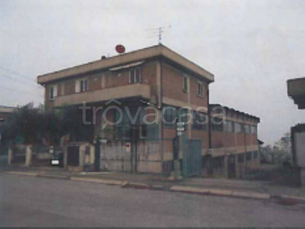 negozio in vendita a Montaione