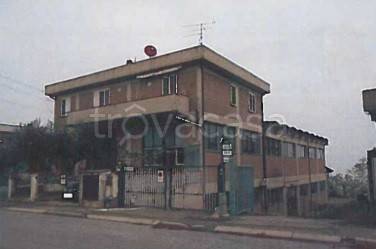 appartamento in vendita a Montaione