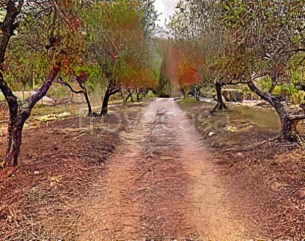 casa indipendente in vendita a Montaione in zona Palagio