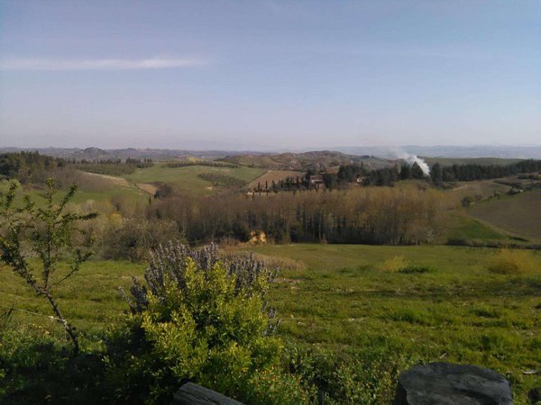 azienda agricola in vendita a Montaione