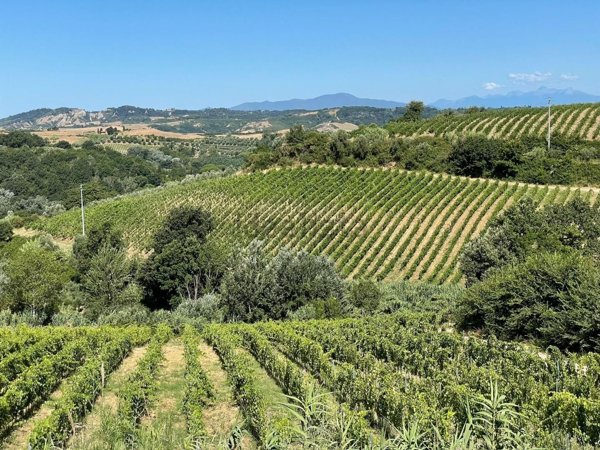 casale in vendita a Montaione