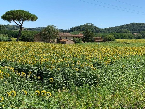 casa indipendente in vendita a Montaione