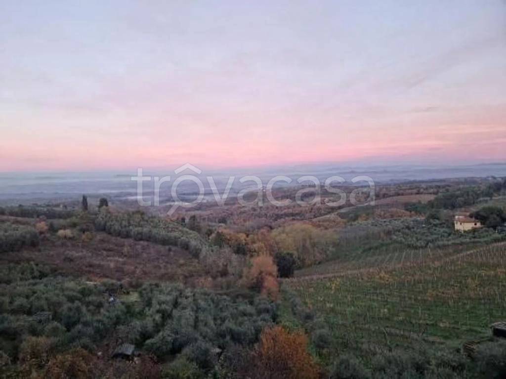appartamento in vendita a Montaione