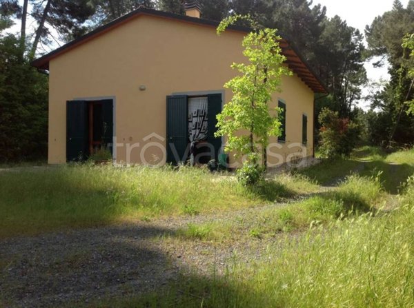 casa indipendente in vendita a Montaione in zona Alberi