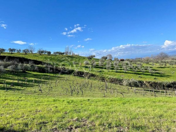 terreno agricolo in vendita a Montaione