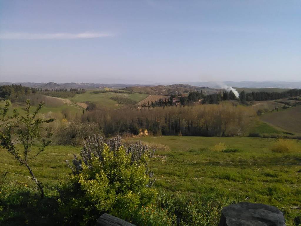 casa indipendente in vendita a Montaione