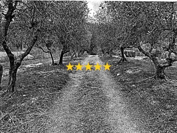 casa indipendente in vendita a Montaione in zona Palagio