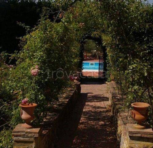 casa indipendente in vendita a Montaione in zona Castelfalfi