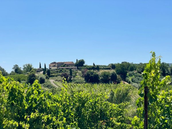 azienda agricola in vendita a Montaione