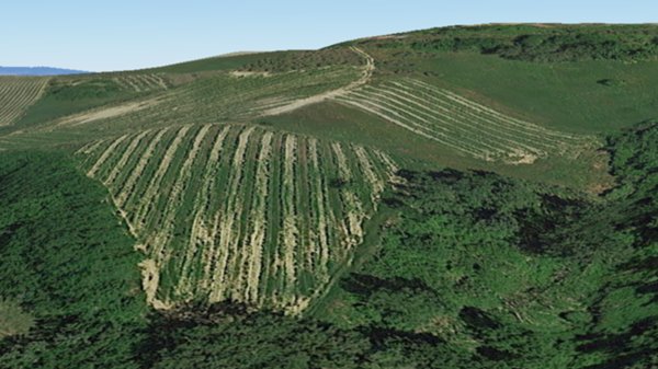 azienda agricola in vendita a Montaione