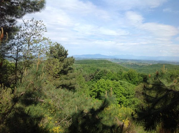 azienda agricola in vendita a Montaione in zona San Vivaldo